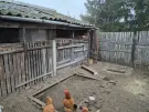 Hajdú-Bihar megye - Hajdúböszörmény-Bodaszőlő